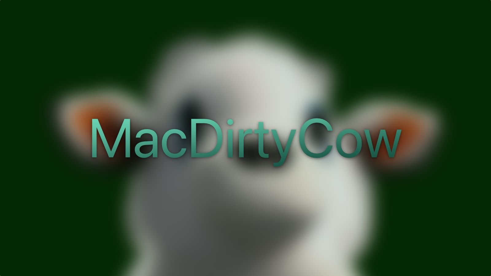 Ian Beer démontre la puissance du bug MacDirtyCow sur iOS 16